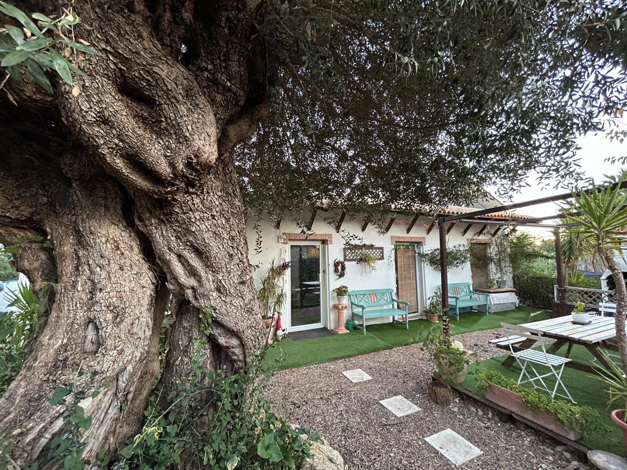 Loft Independiente "La Casita Del Olivo Centenario" Кордова Екстер'єр фото