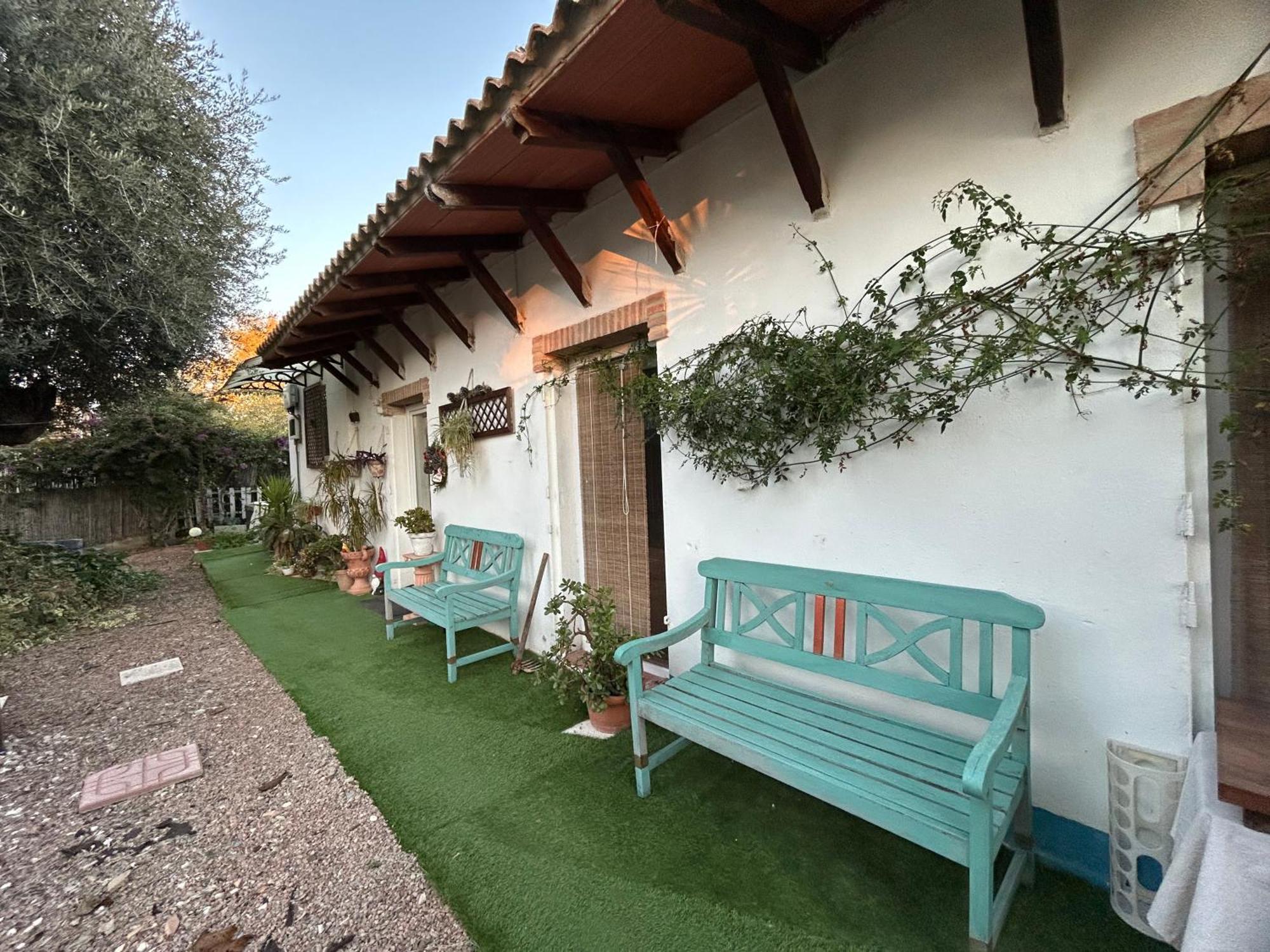 Loft Independiente "La Casita Del Olivo Centenario" Кордова Екстер'єр фото